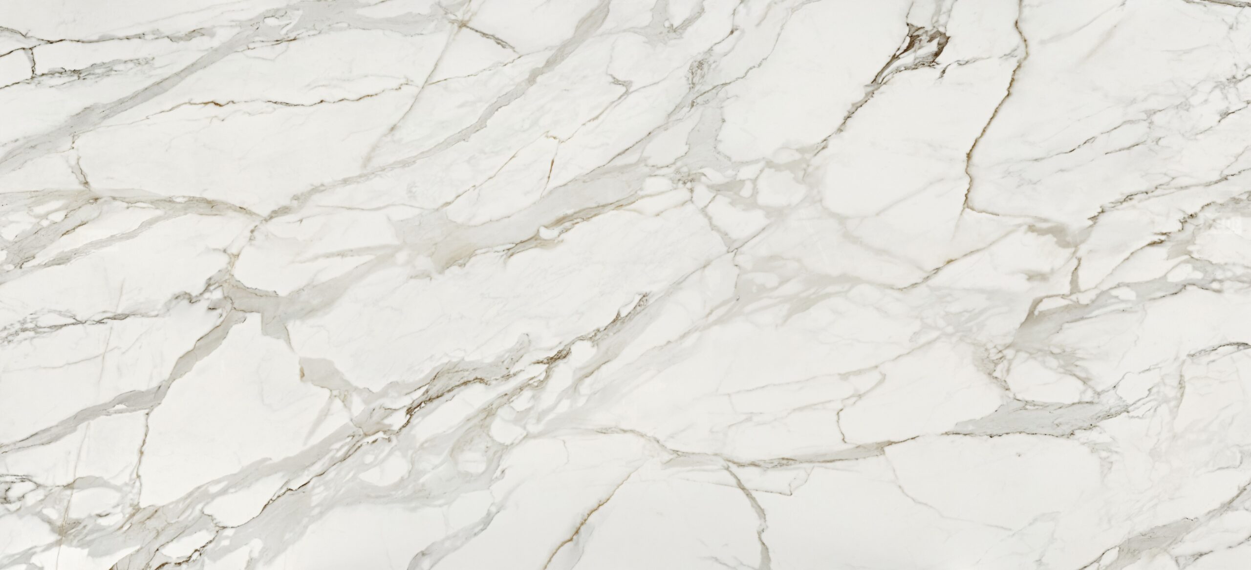 product details image