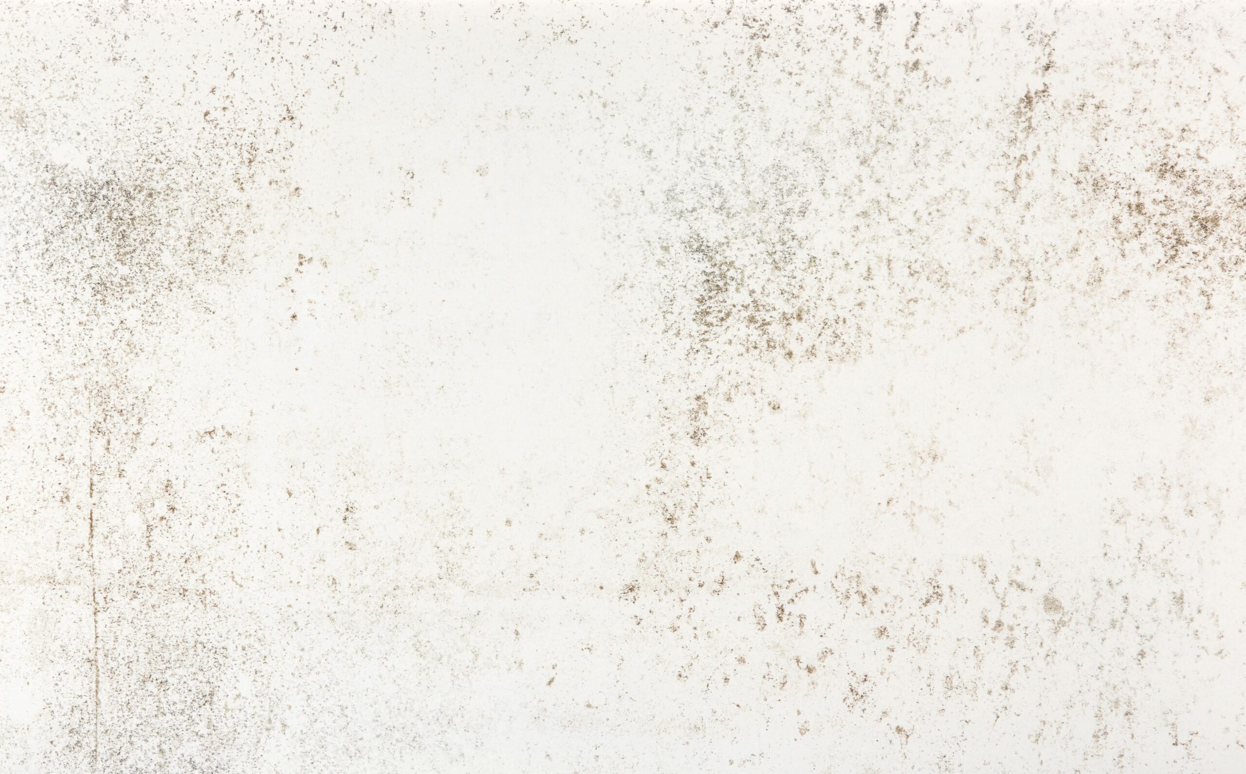 product details image