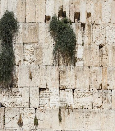 Building Banter: Jerusalem vs. Los Angeles