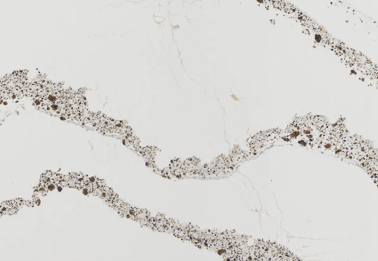 product details image