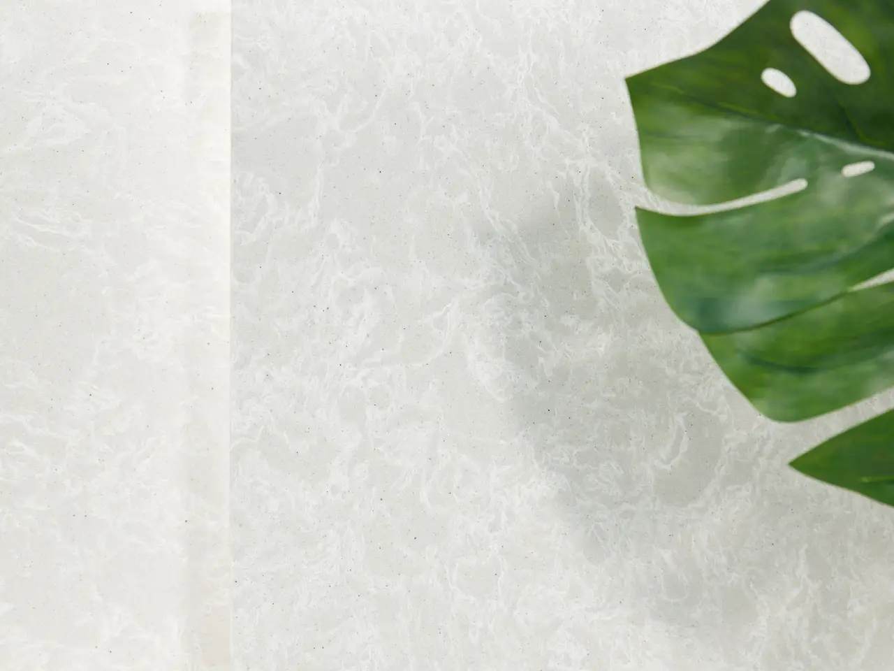 product details image