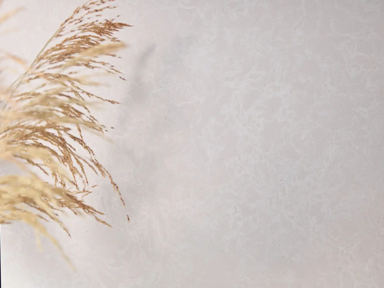 product details image