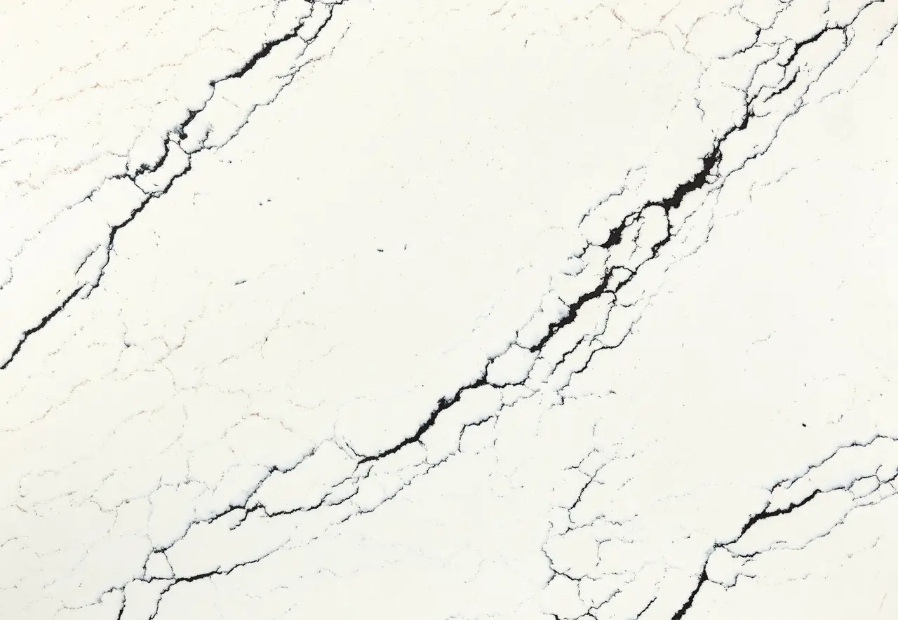 product details image