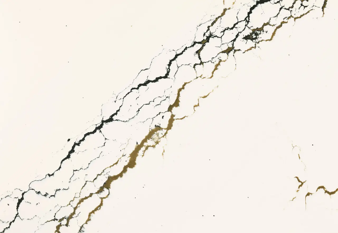 product details image